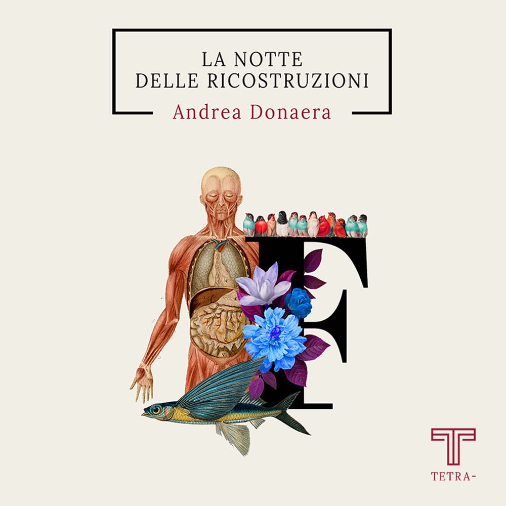 La notte delle ricostruzioni book