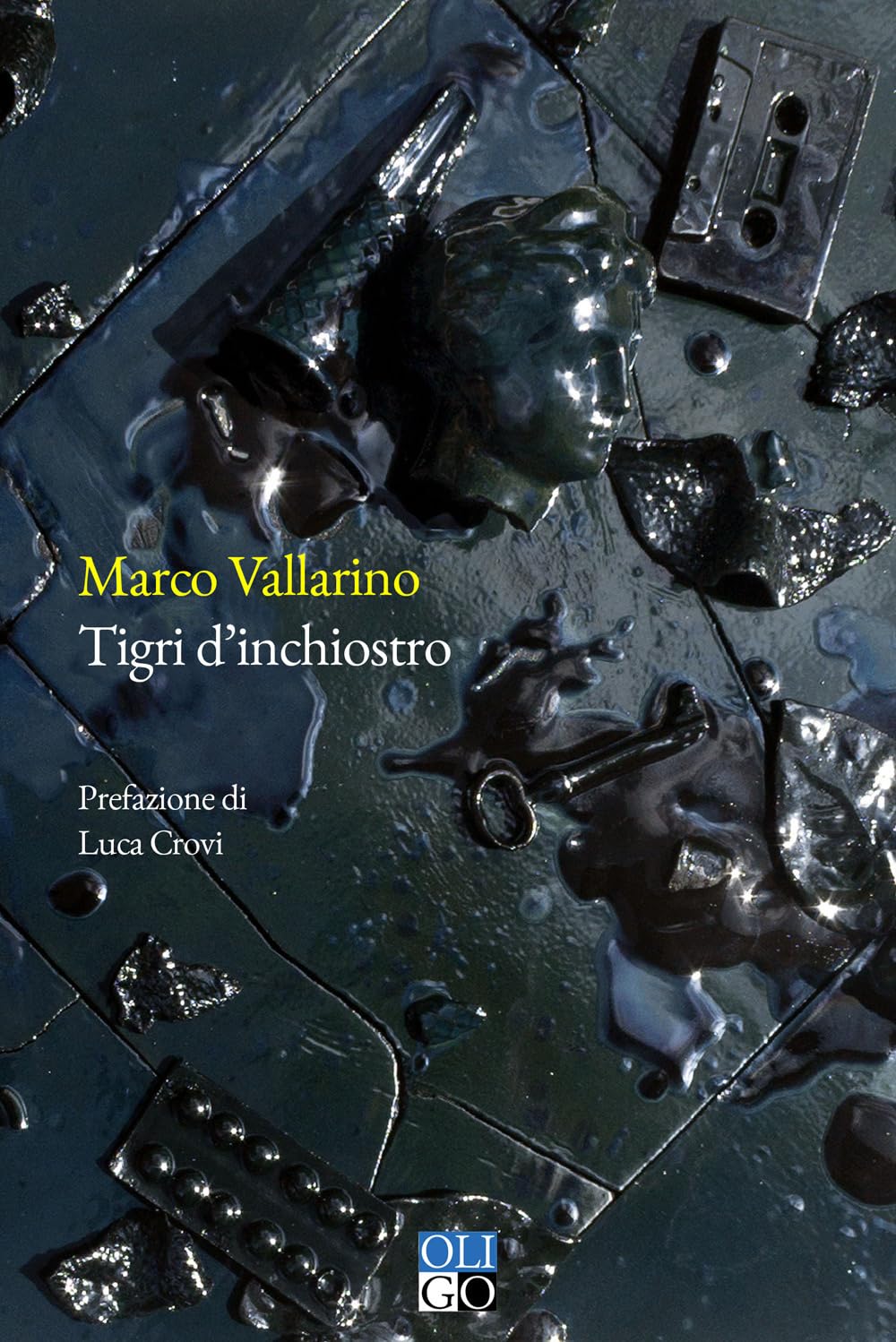 Tigri d’inchiostro. Trenta racconti ruggenti book
