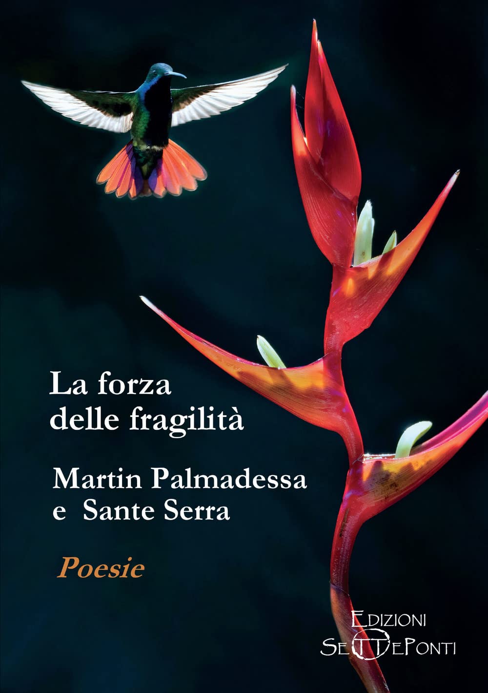 La forza delle fragilità book
