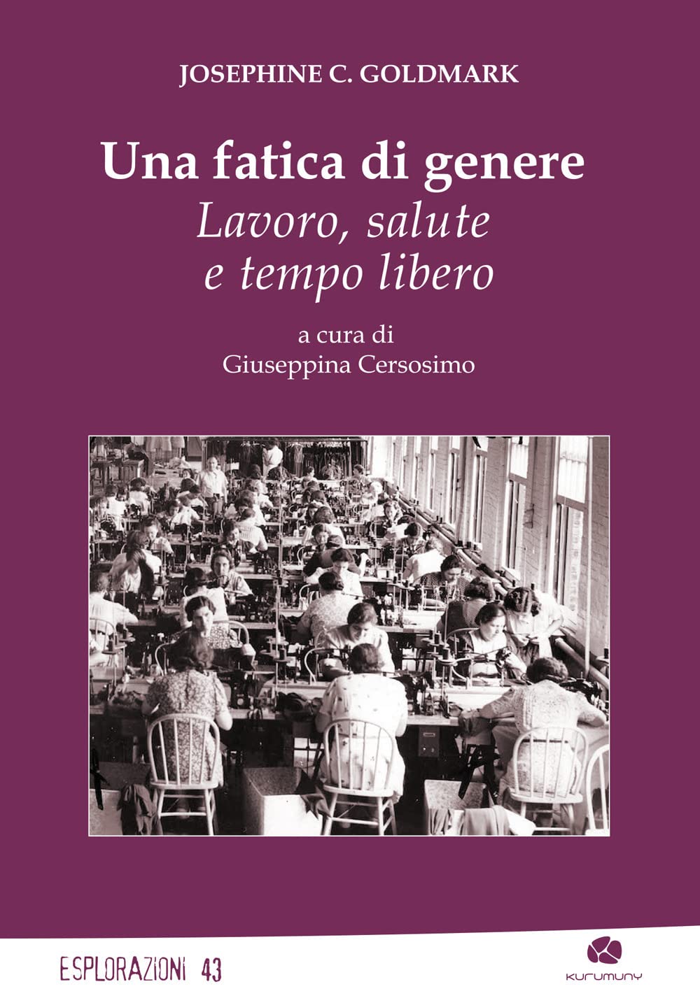 Una fatica di genere. Lavoro, salute e tempo libero book