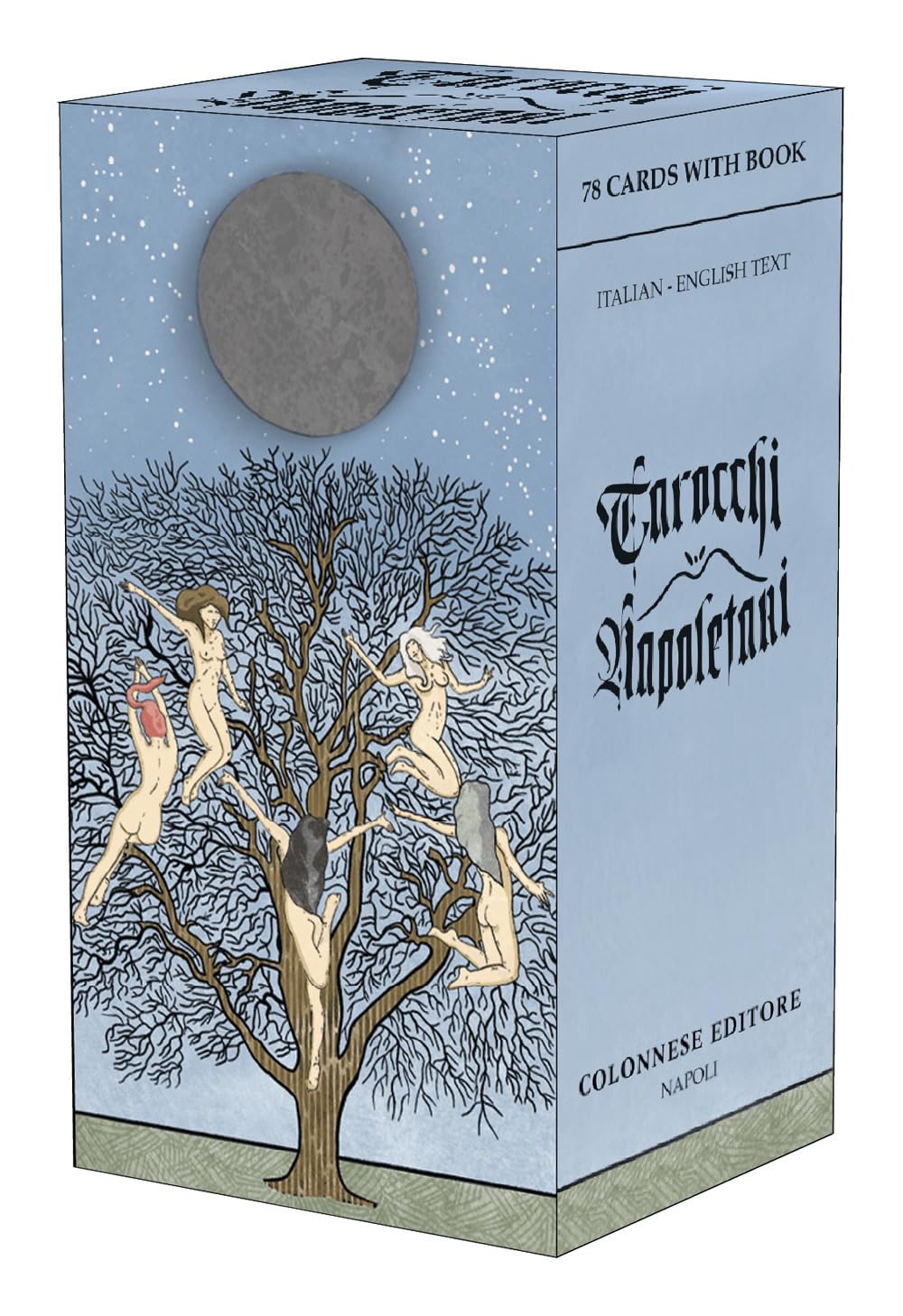 Tarocchi napoletani. Ediz. italiana e inglese. Con mazzo di tarocchi book