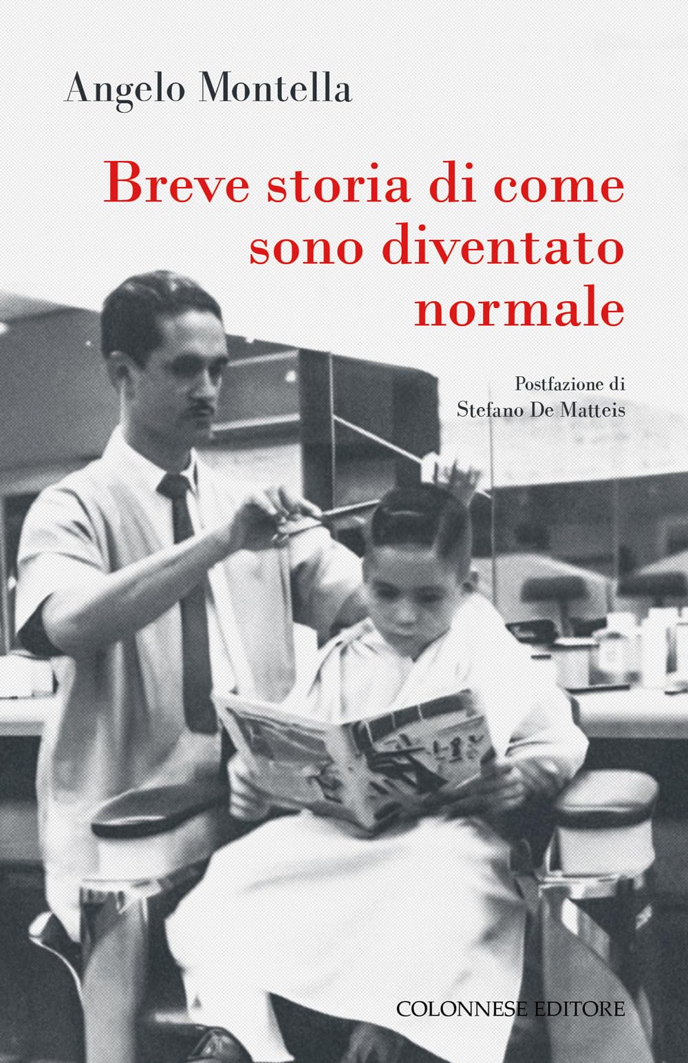 Breve storia di come sono diventato normale book