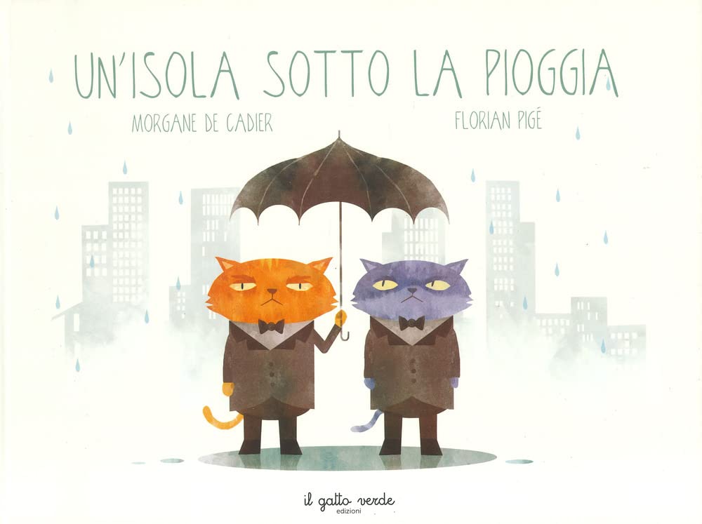 Un'isola sotto la pioggia. Ediz. a colori book