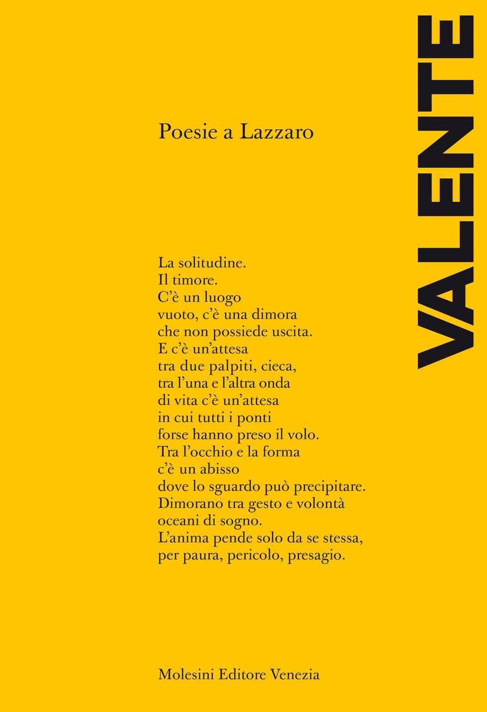 Poesie a Lazzaro book
