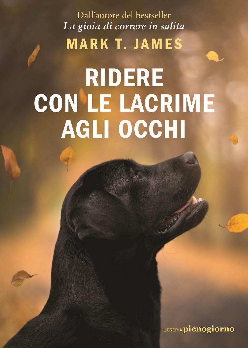 Ridere con le lacrime agli occhi Memories