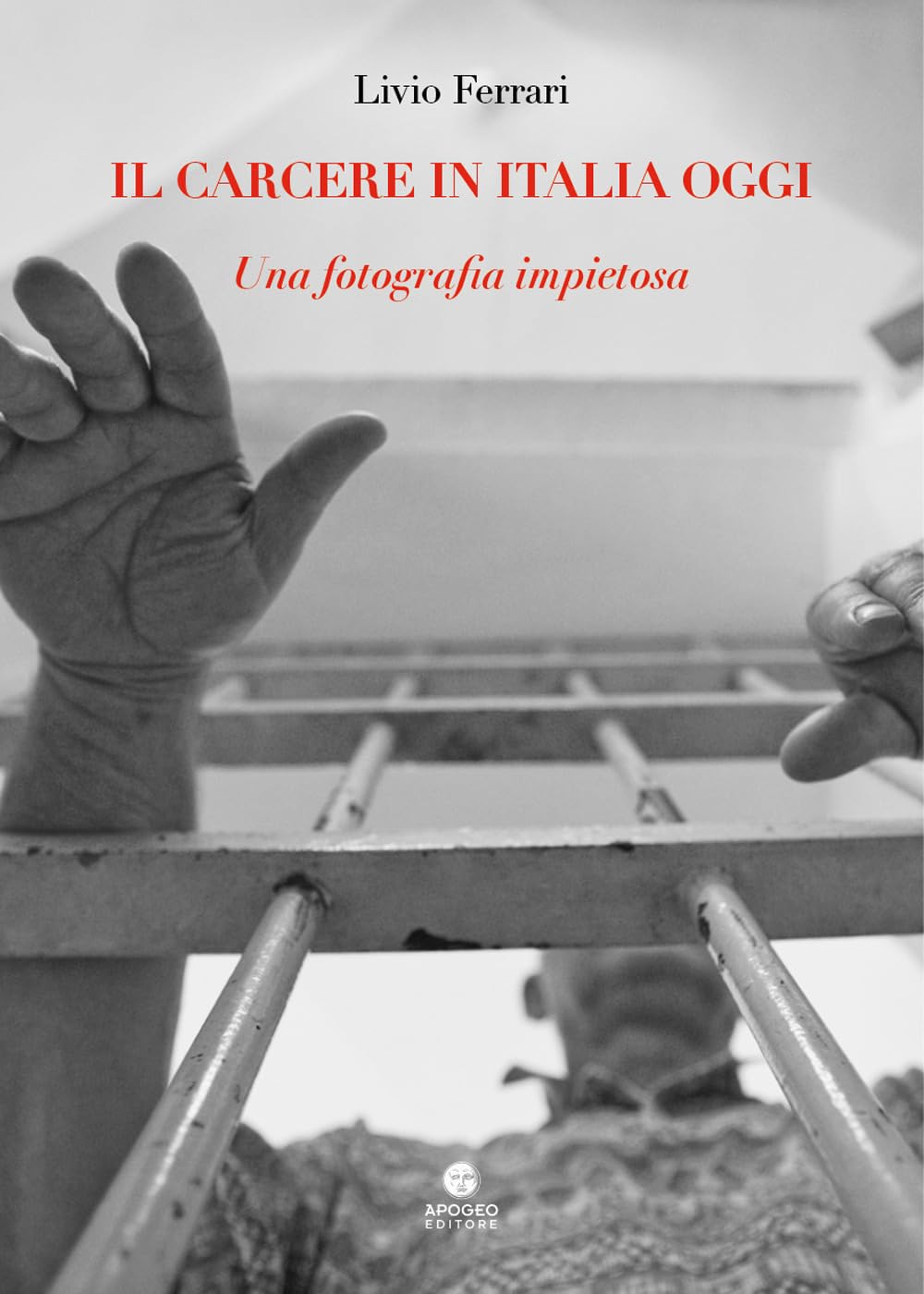 Il carcere in Italia oggi. Una fotografia impietosa book