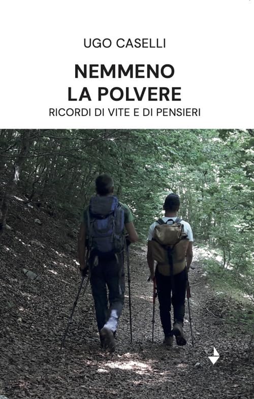 Nemmeno la polvere. Ricordi di vite e di pensieri (Spiaggia libera) Contemporary literature