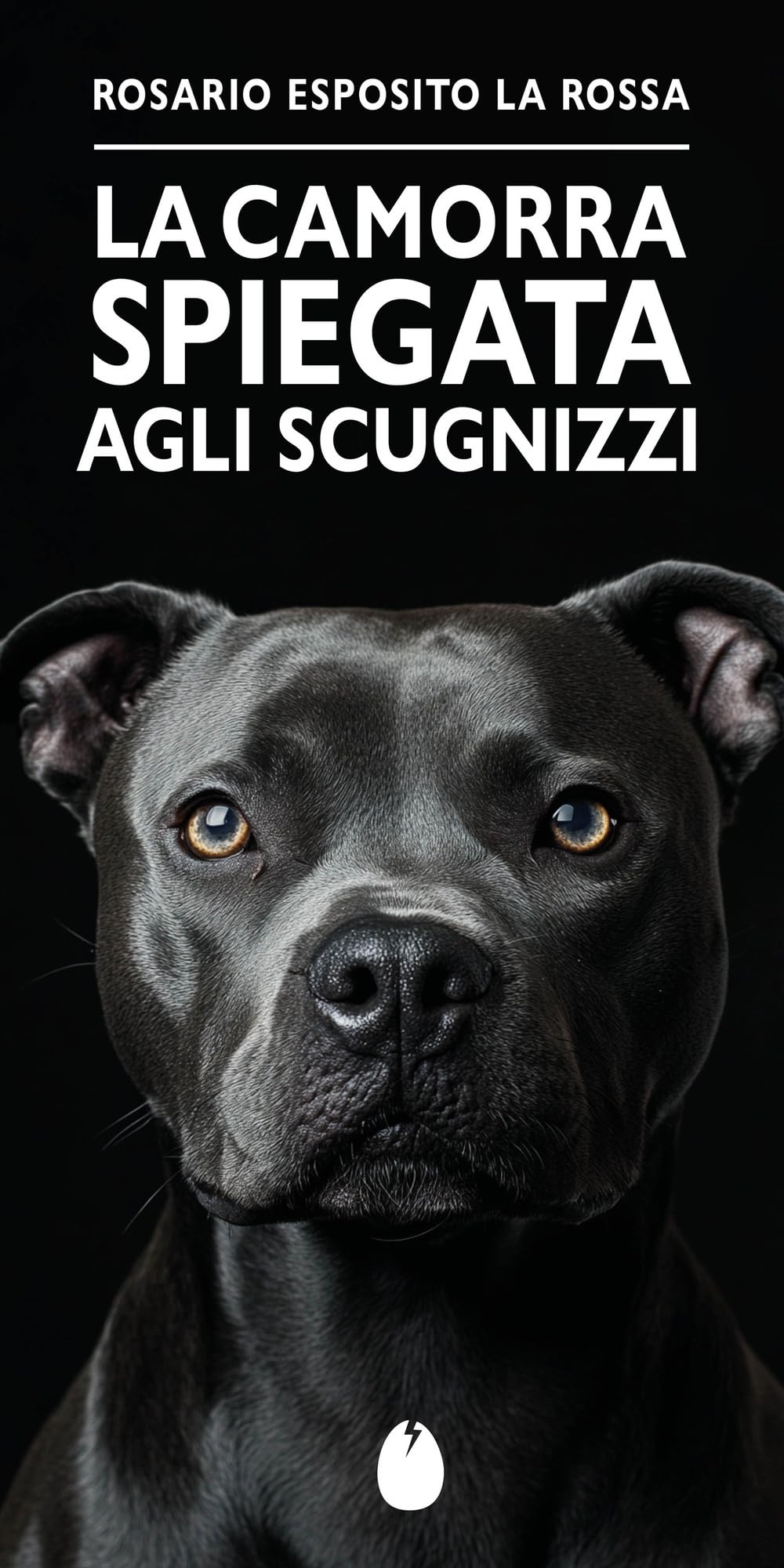 La camorra spiegata agli scugnizzi book