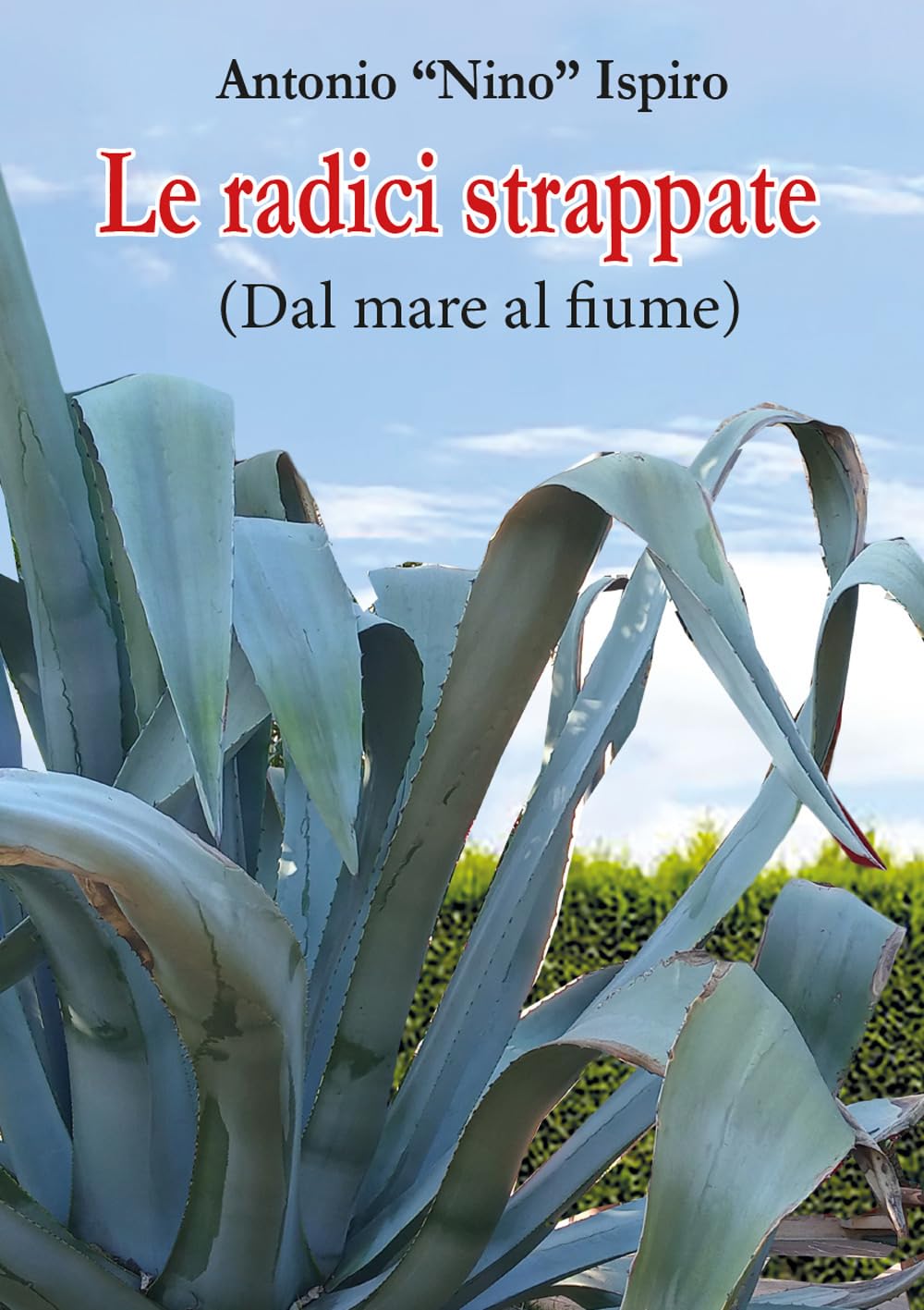 Le radici strappate (dal mare al fiume) book