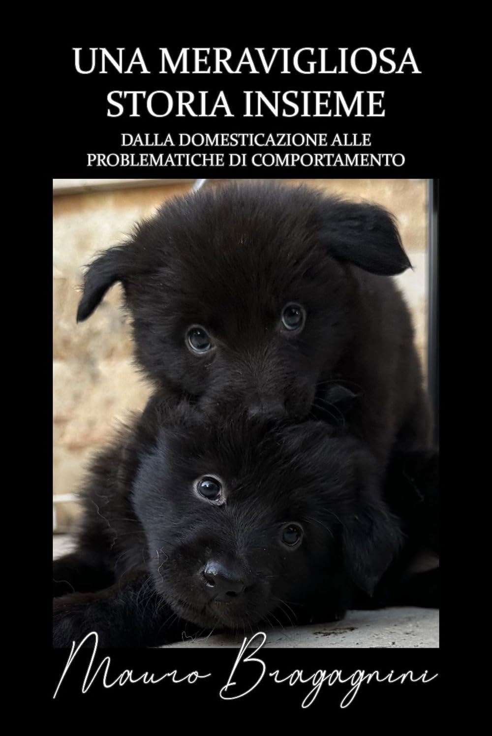 Una meravigliosa storia insieme: Dalla domesticazione alle problematiche di comportamento book
