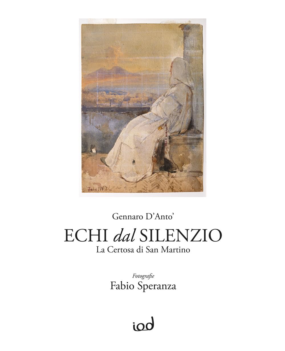 Echi dal silenzio. La Certosa di San Martino. Ediz. illustrata book