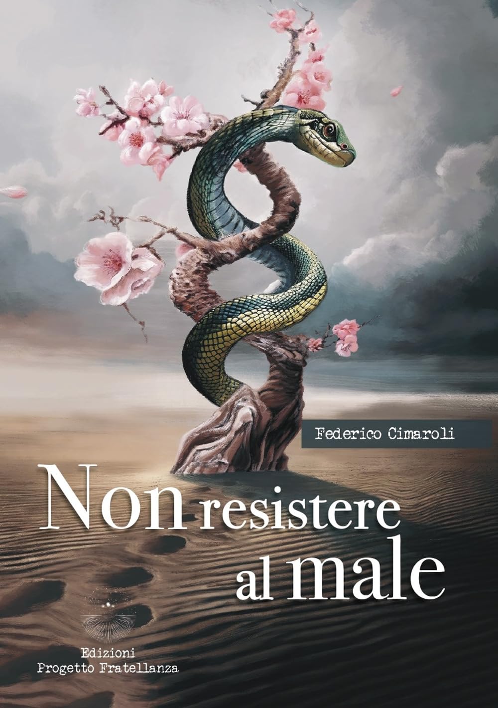 Non resistere al male book