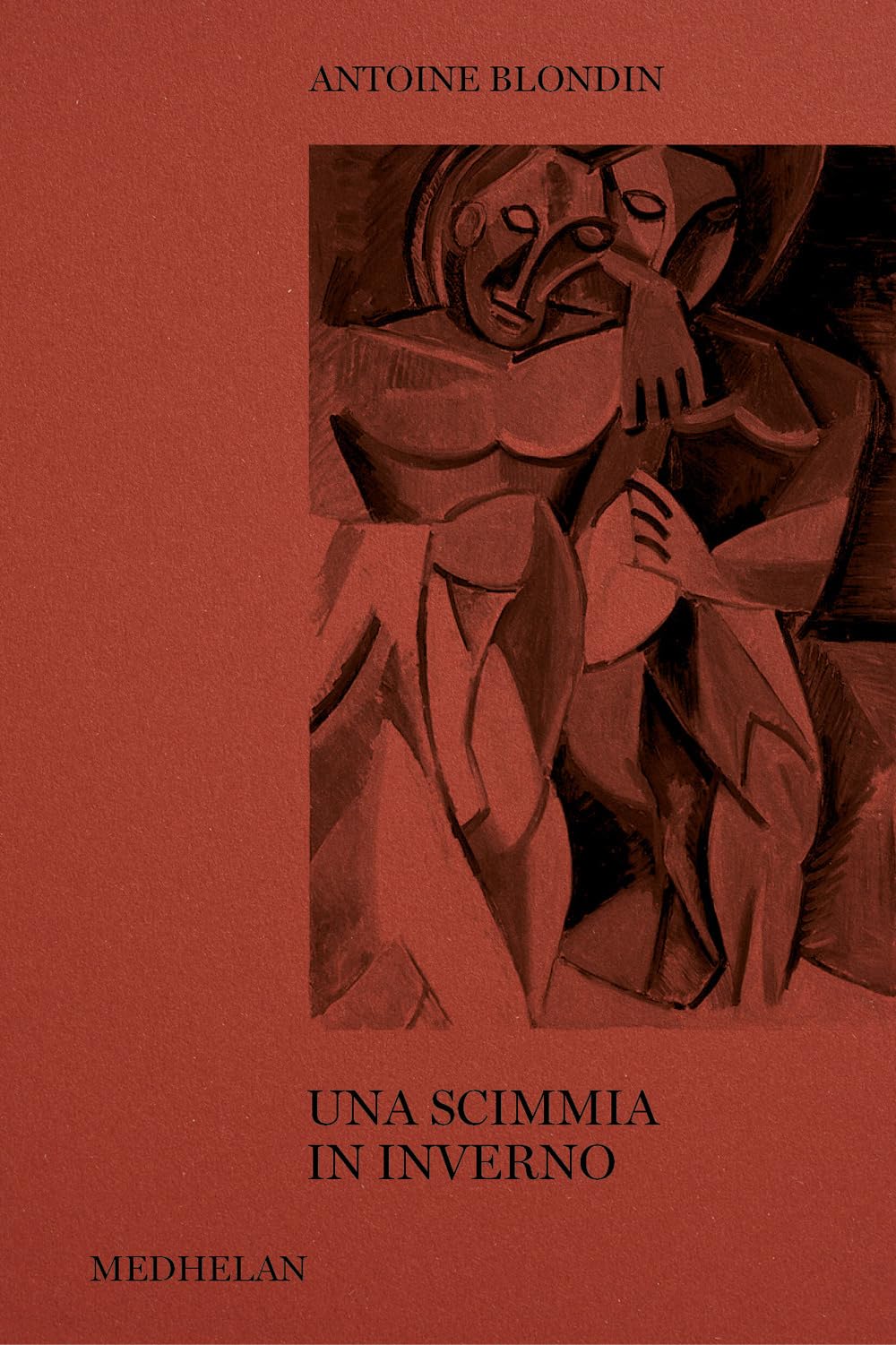 Una scimmia in inverno book