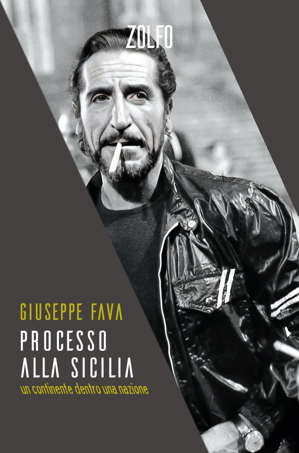 Processo alla Sicilia. Un continente dentro una nazione book
