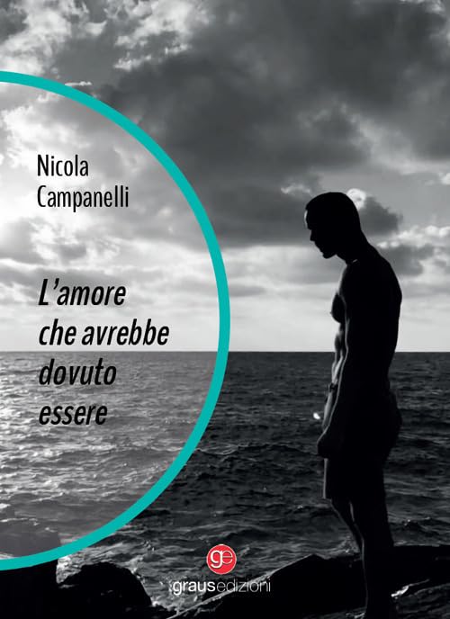 L'amore che avrebbe dovuto essere book