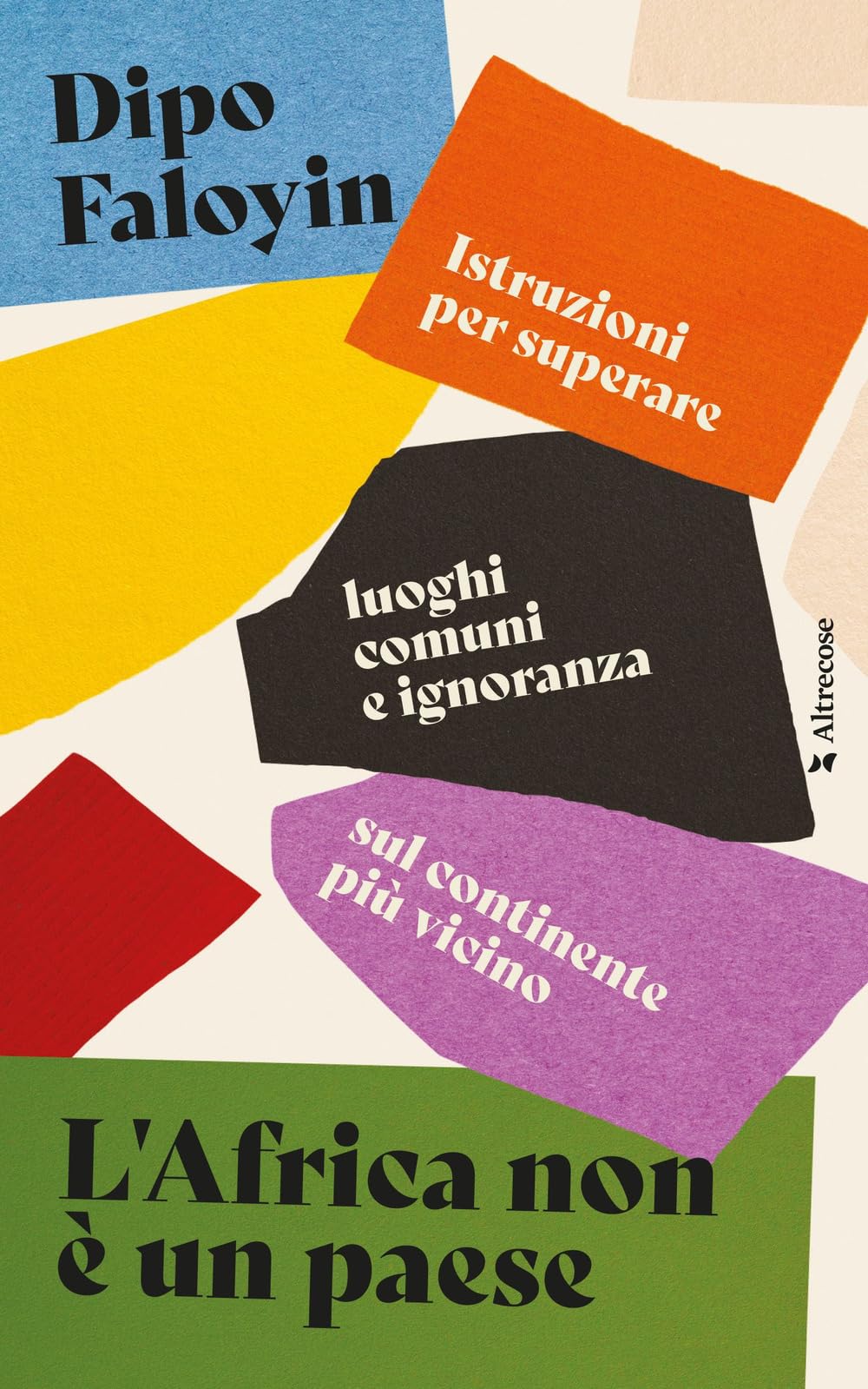 L'Africa non è un paese. Istruzioni per superare luoghi comuni e ignoranza sul continente più vicino (Altrecose) Books
