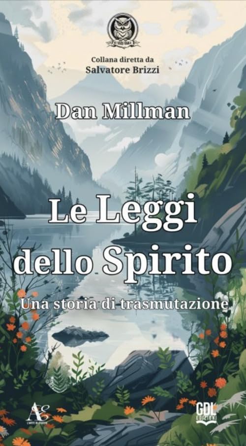 Le leggi dello spirito. Una storia di trasmutazione book