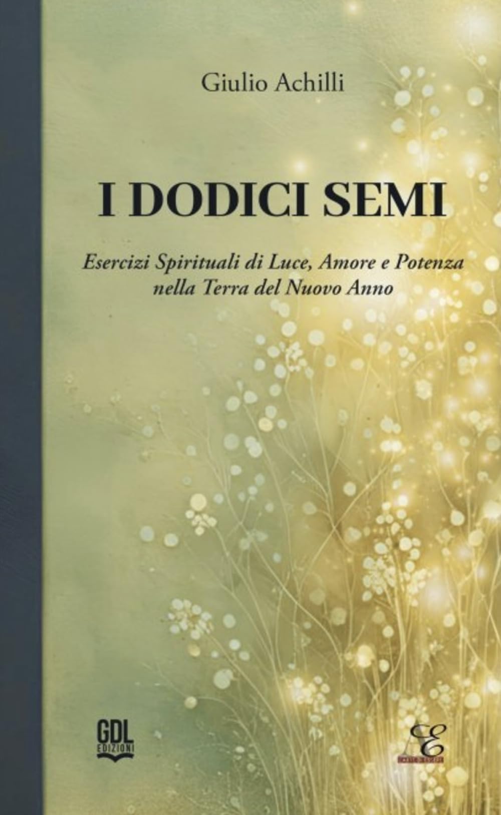 I dodici semi. Esercizi spirituali di luce, amore e potenza nella Terra del nuovo anno book