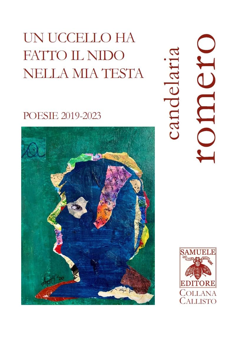 Un uccello ha fatto il nido nella mia testa book
