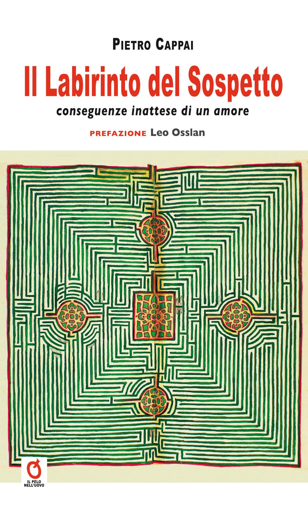 Il labirinto del sospetto. Conseguenze inattese di un amore book