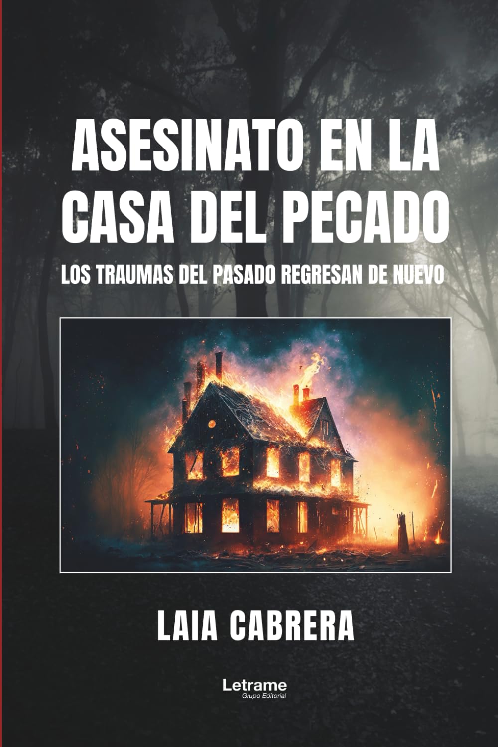 Asesinato en la casa del pecado (Misterio, Band 1) Contemporary literature