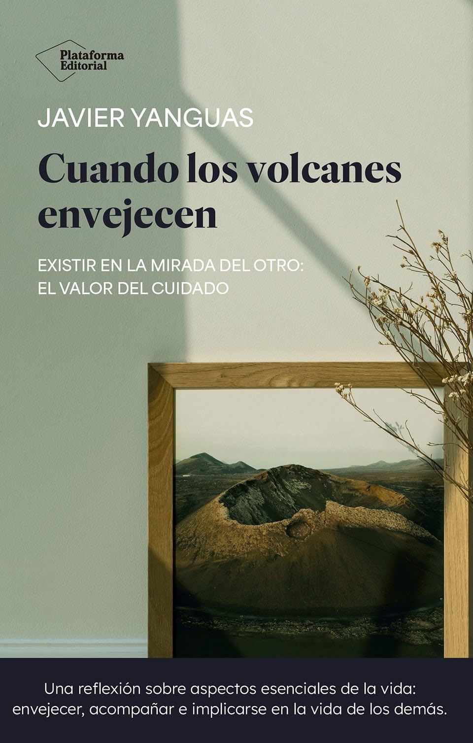Cuando los volcanes envejecen: Existir en la mirada del otro: el valor del cuidado Medicine