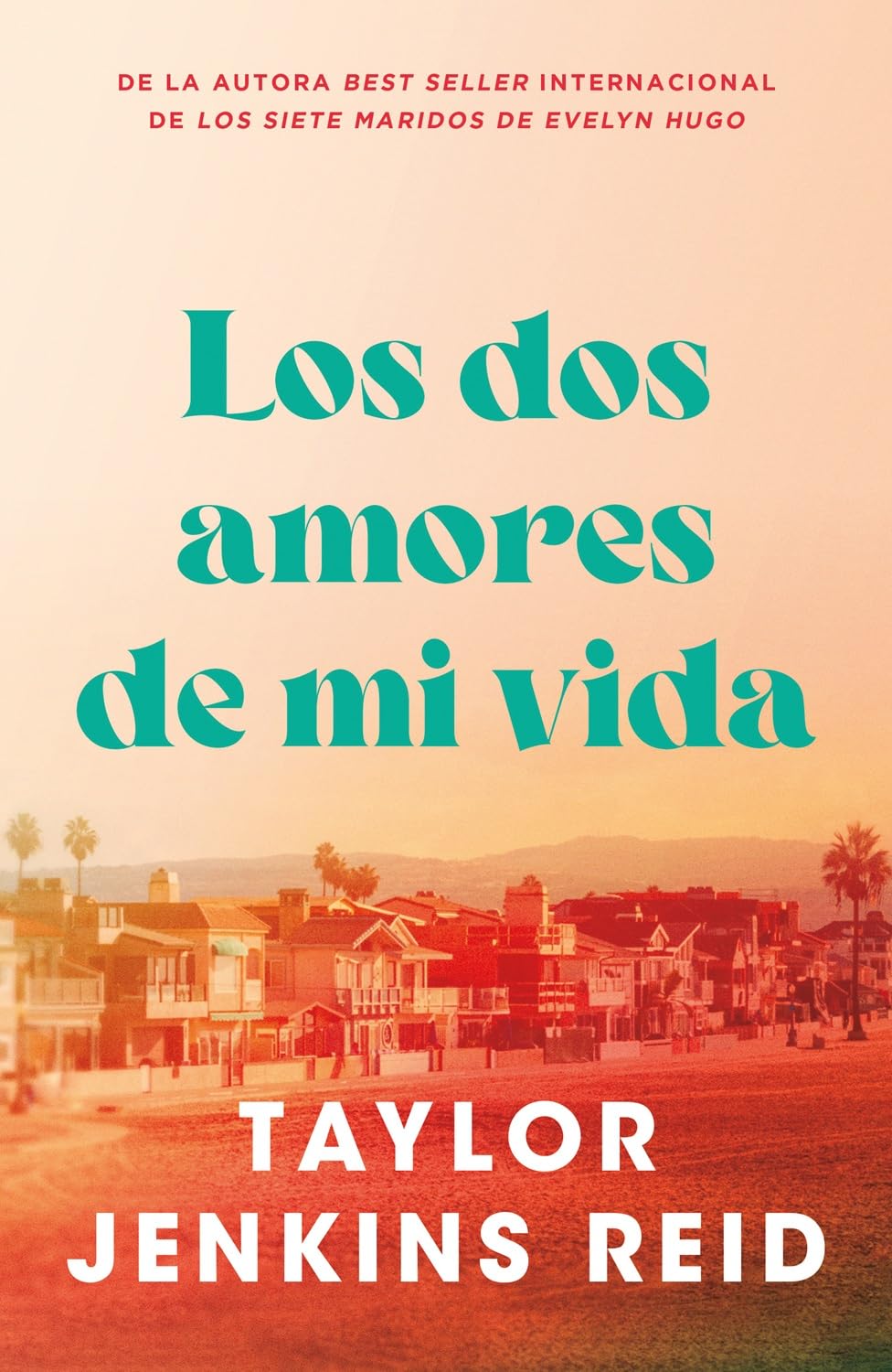Los DOS Amores de Mi Vida book