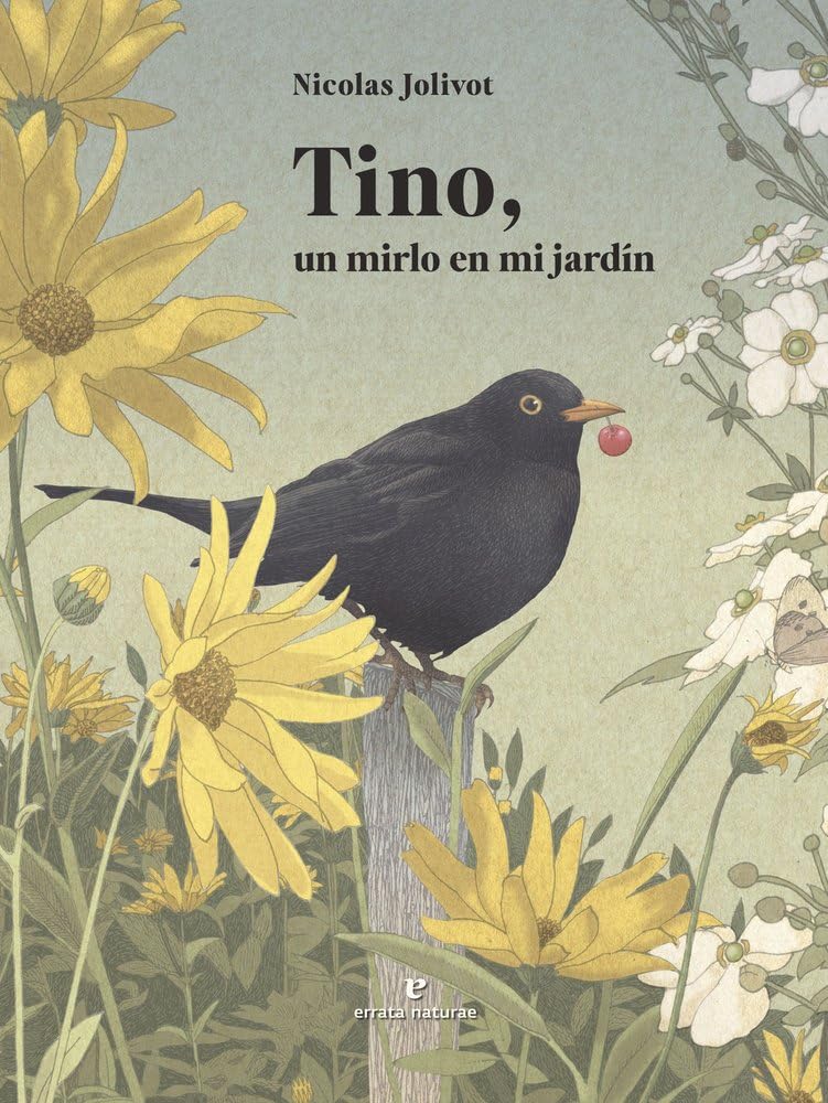Tino, un mirlo en mi jardín Leisure, Home & Garden
