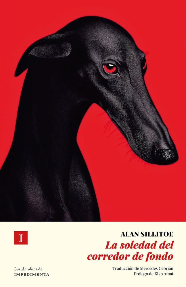 La soledad del corredor de fondo (N.Ed.) (Los Aerolitos) Contemporary literature
