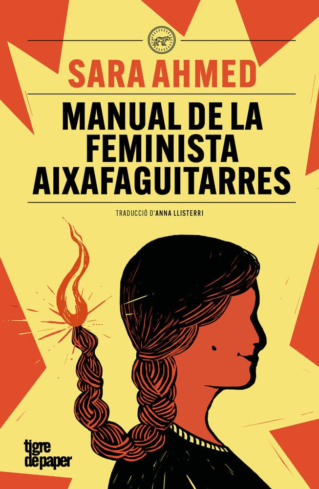 Manual de la feminista aixafaguitarres book