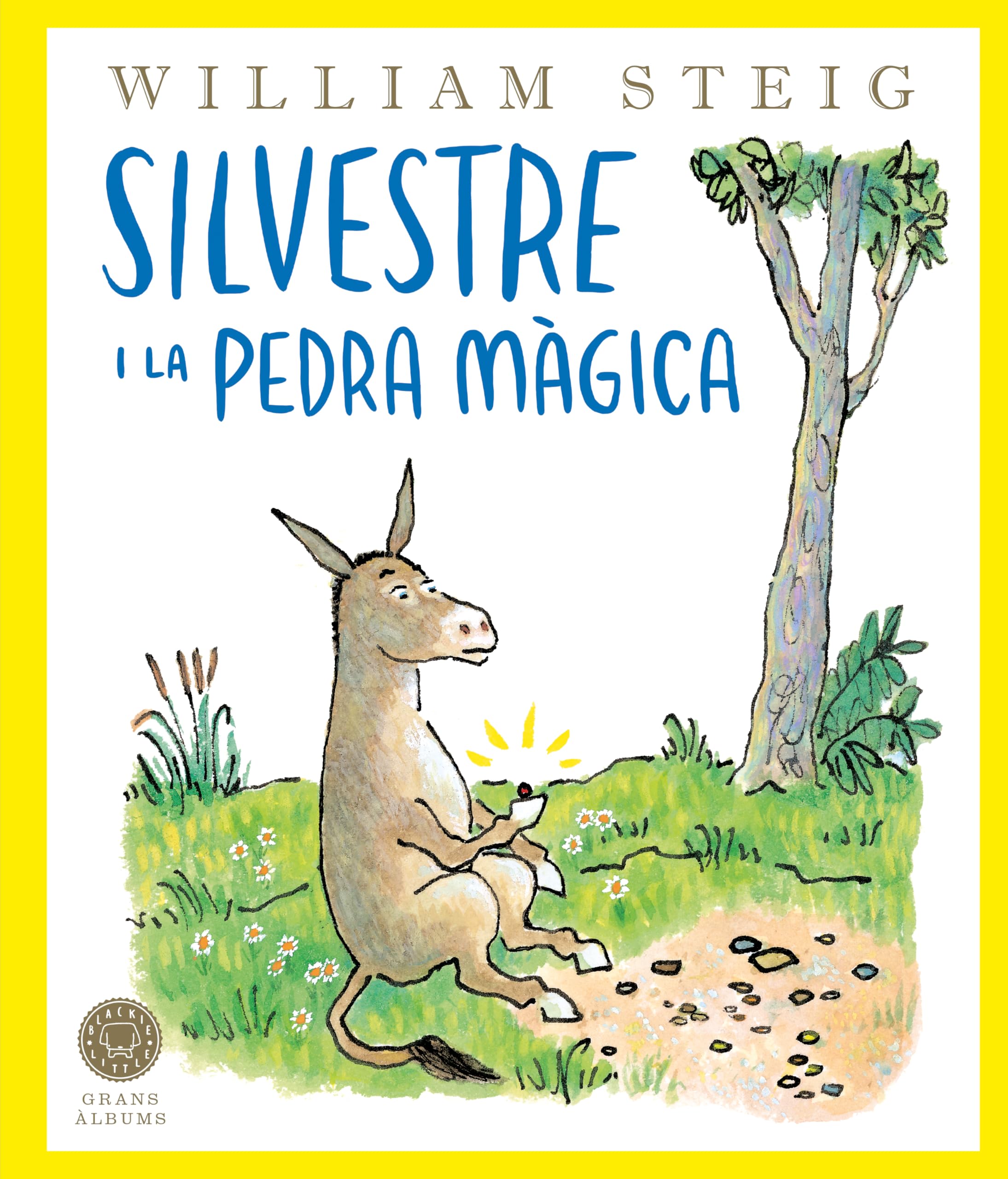 En Silvestre i la pedra màgica book