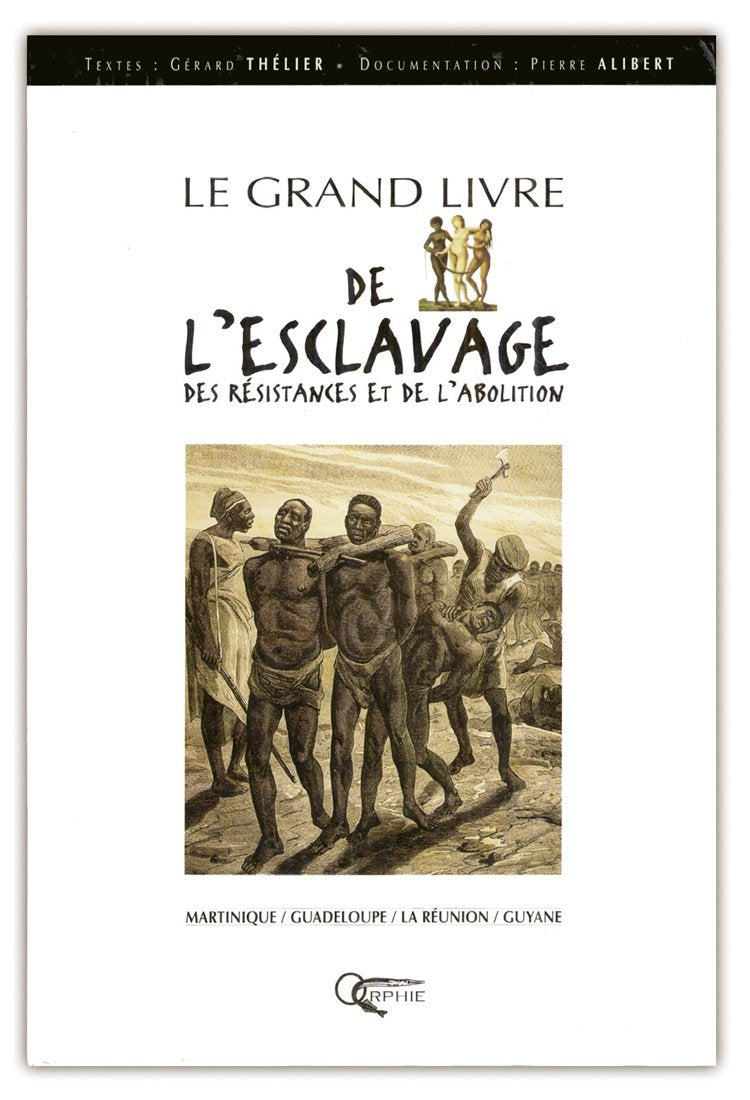 Le Grand livre de l'esclavage: Des résistances à l'abolition Books