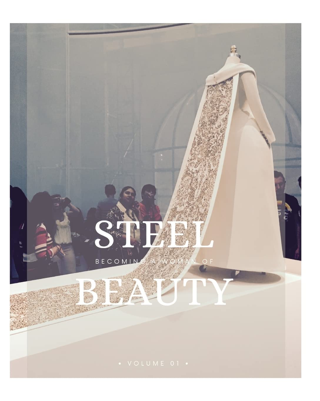 Steel Beauty Volume 01 Business, Finance & Career