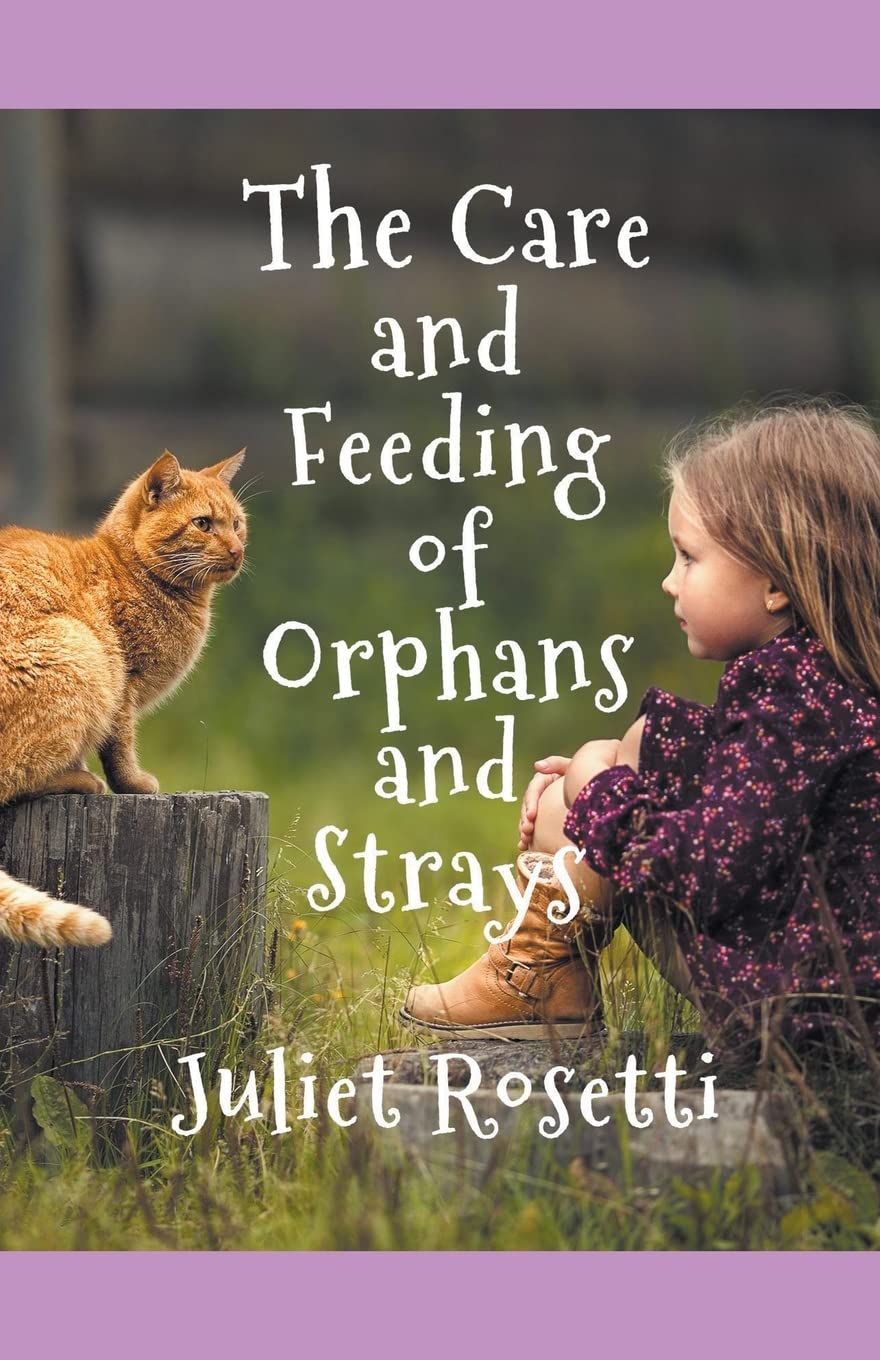 The Care & Feeding of Orphans and Strays Contemporary literature