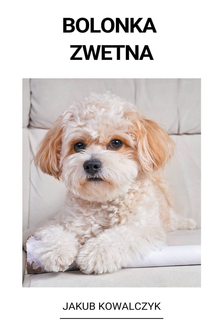 Bolonka Zwetna Pets