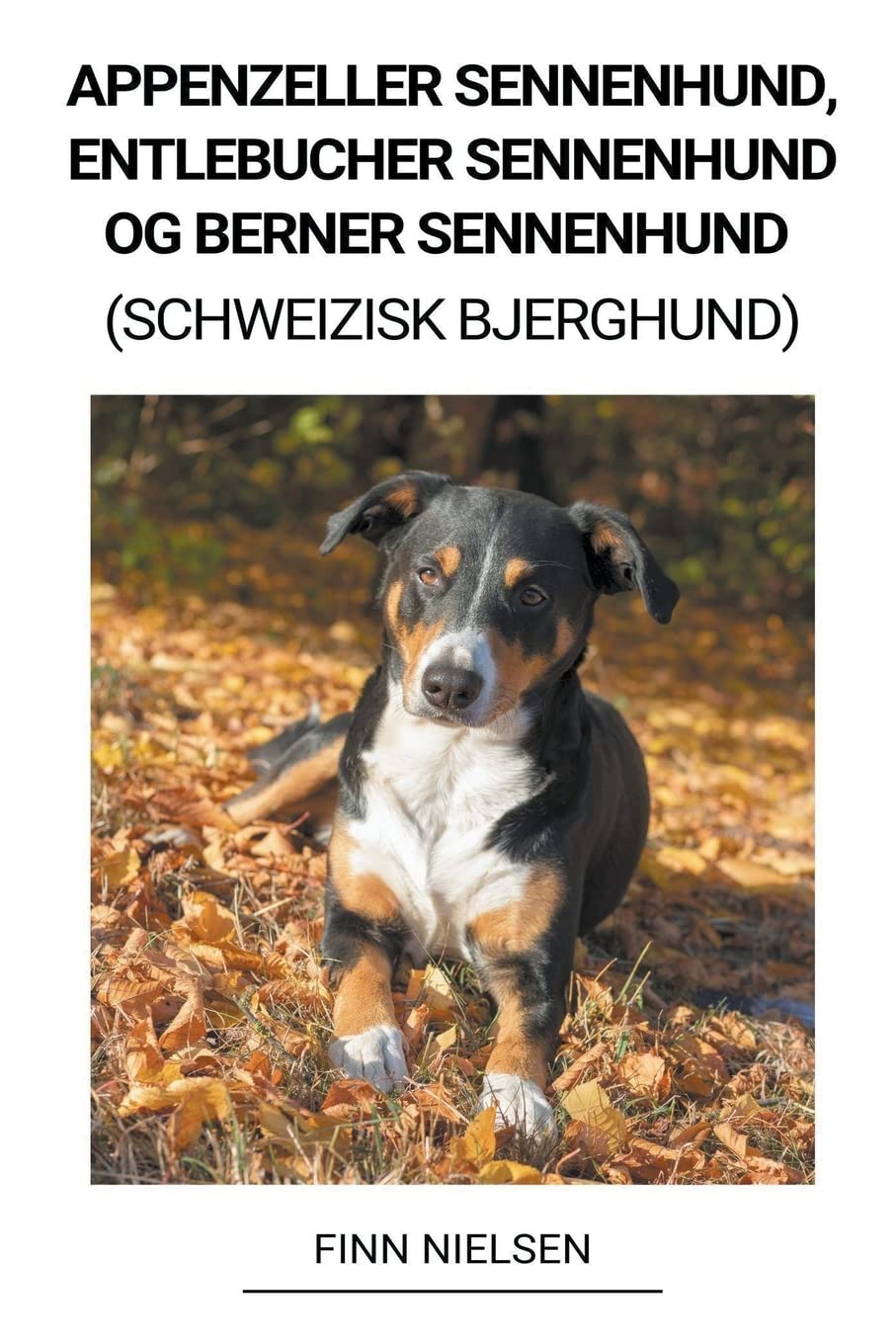 Appenzeller Sennenhund, Entlebucher Sennenhund og Berner Sennenhund (Schweizisk Bjerghund) Pets
