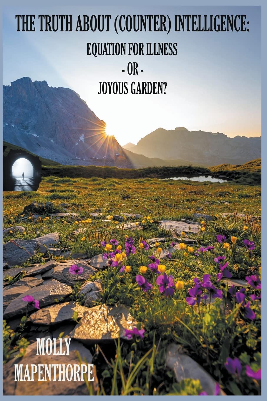 The Truth About (Counter) Intelligence: Equation for Illness or Joyous Garden? (The Truth about Everything by Molly Mapenthorpe, Band 2) Law