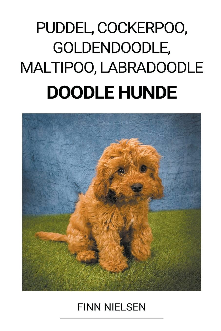 Puddel, Cockerpoo, Goldendoodle, Maltipoo, Labradoodle (Doodle Hunde) Pets