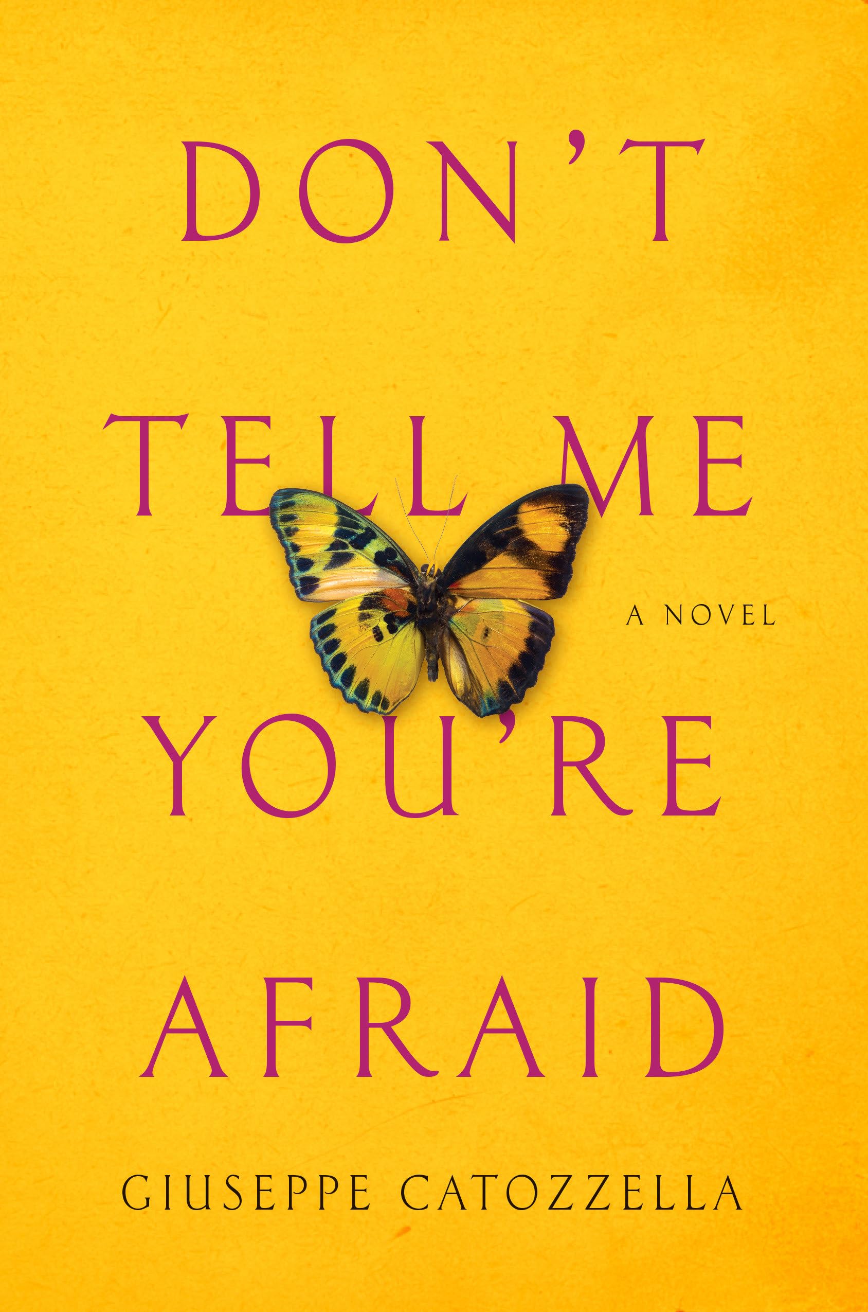 Don't Tell Me You're Afraid: A Novel Contemporary literature