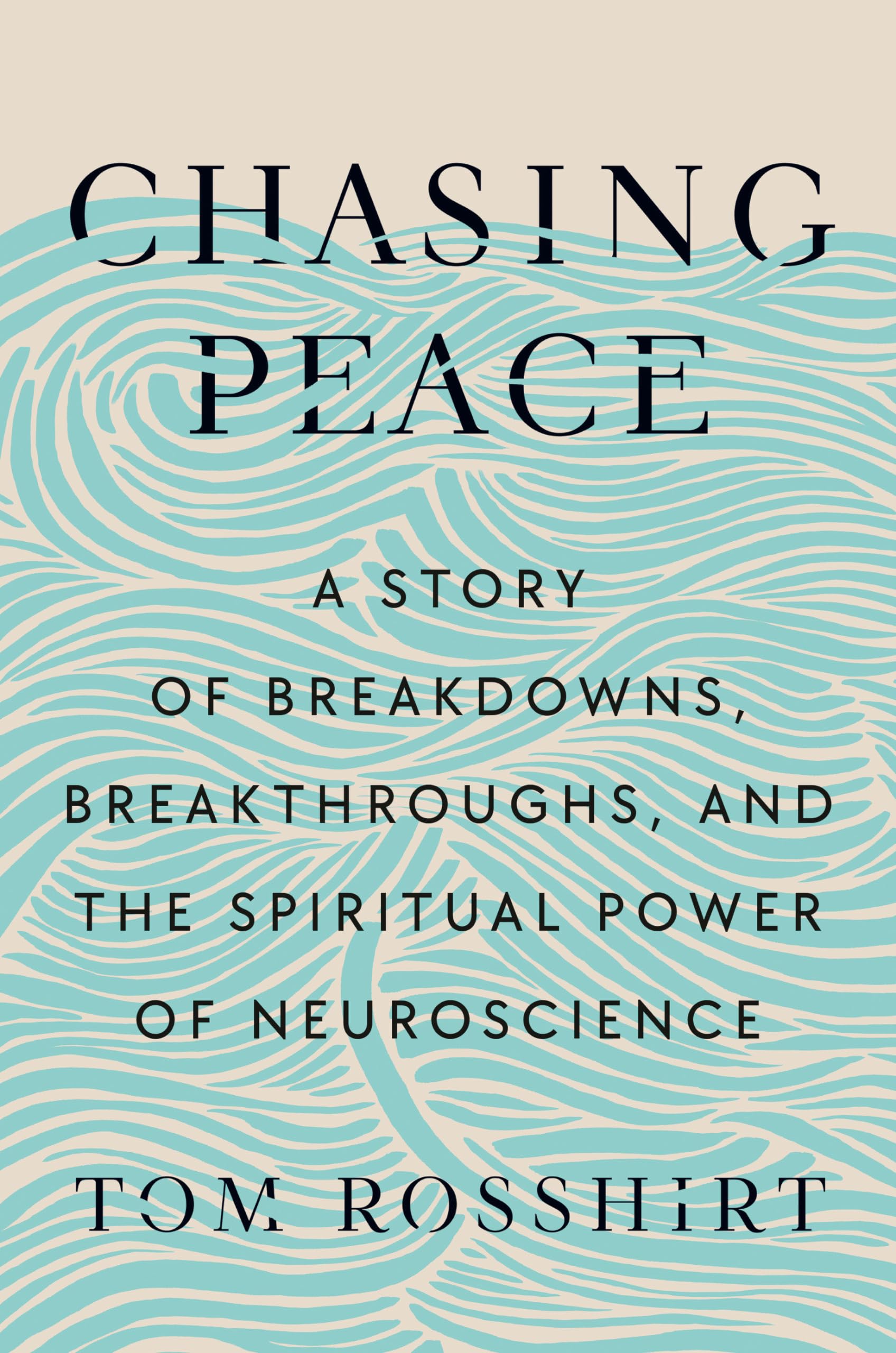 Chasing Peace: A Story of Breakdowns, Breakthroughs, and the Spiritual Power of Neuroscience Business, Finance & Career