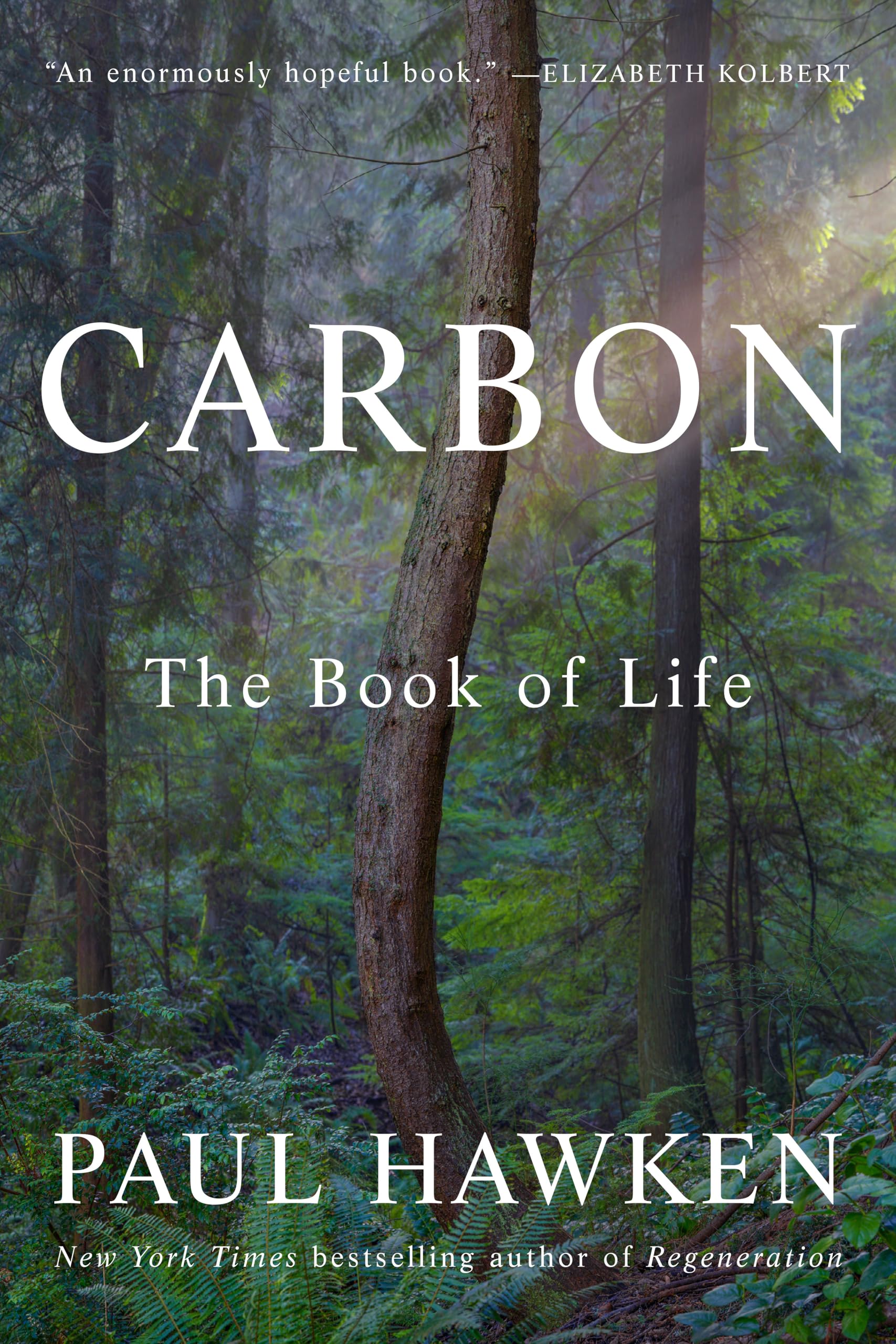 Carbon: The Book of Life Mathematics