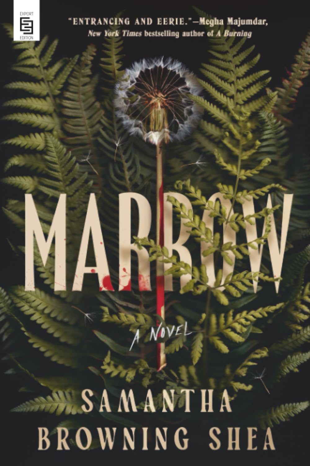 Marrow Contemporary literature Books