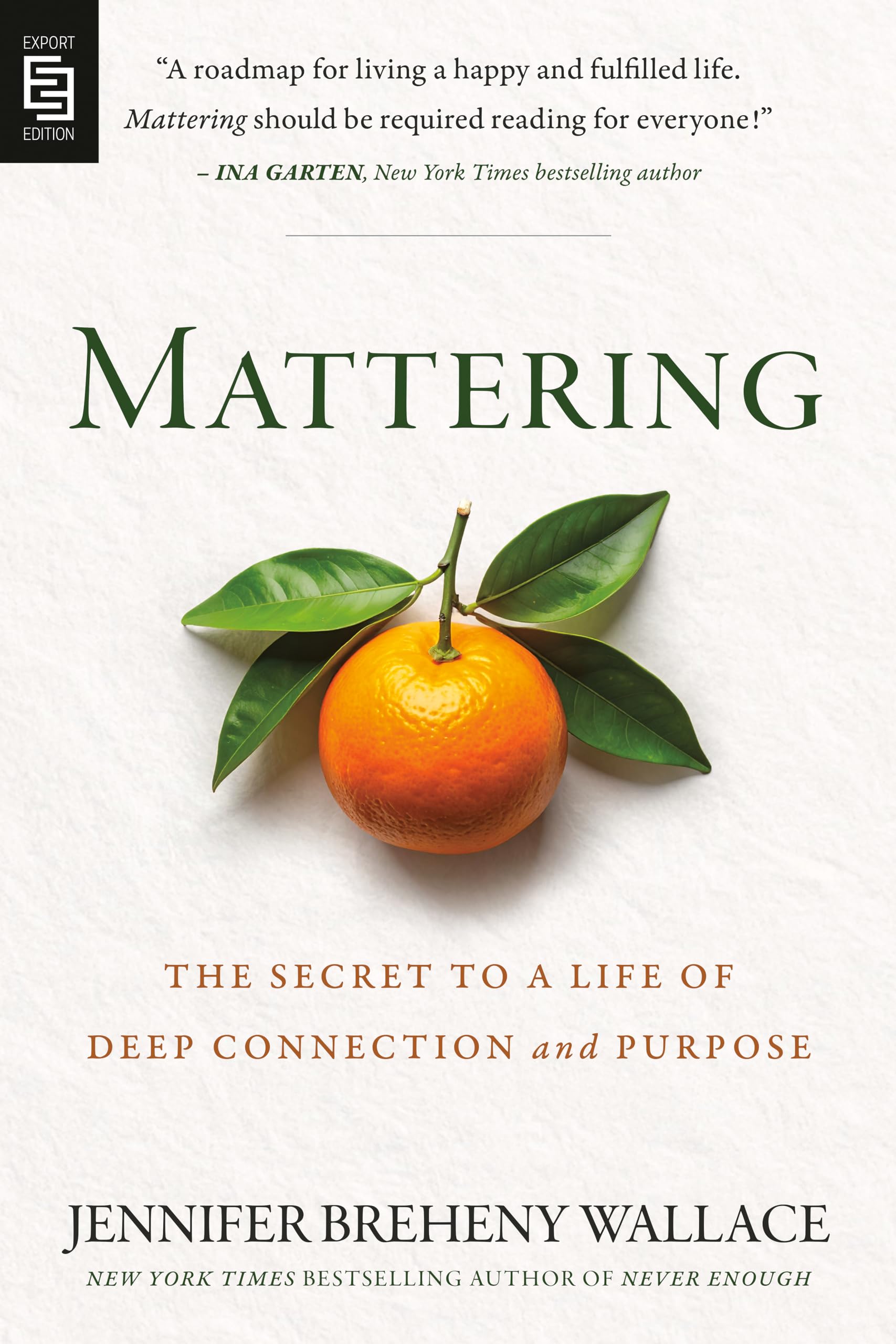 Mattering: The Secret to a Life of Deep Connection and Purpose Social Sciences