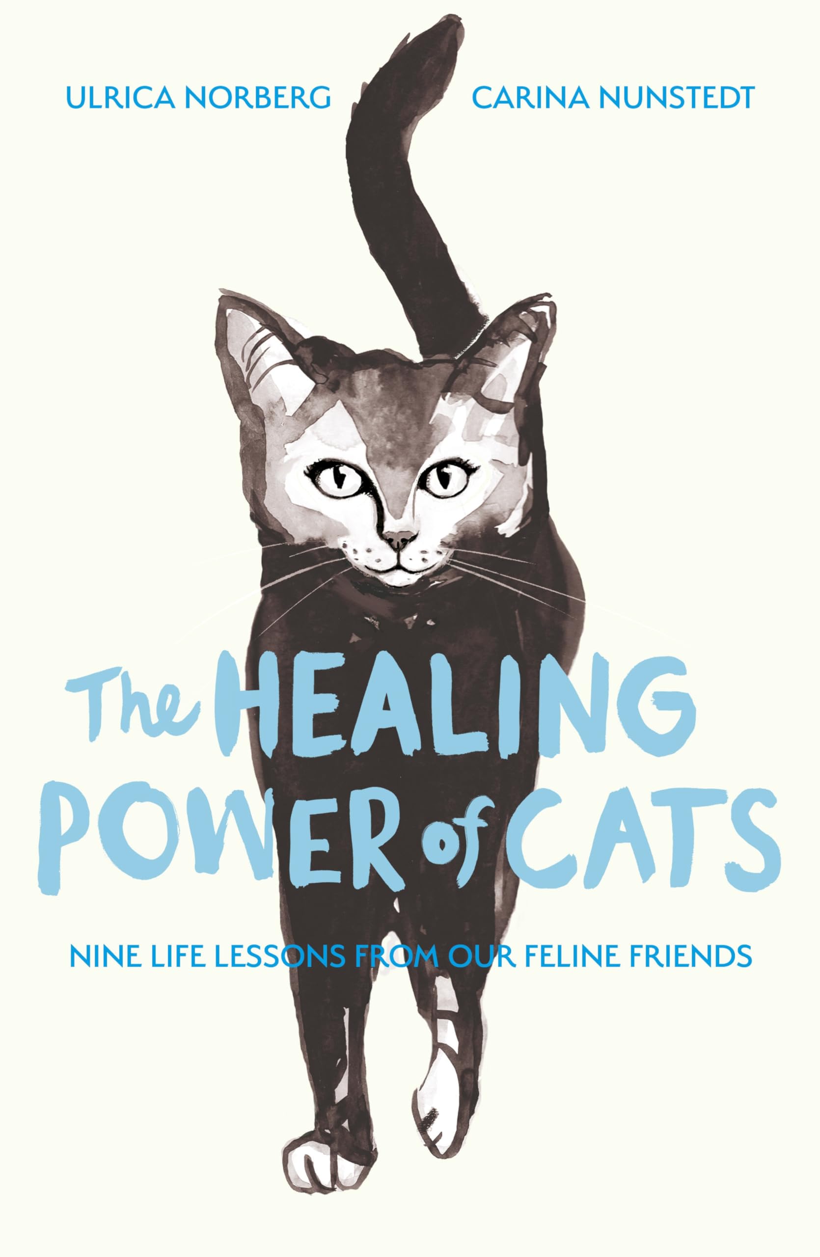 The Healing Power of Cats Medicine