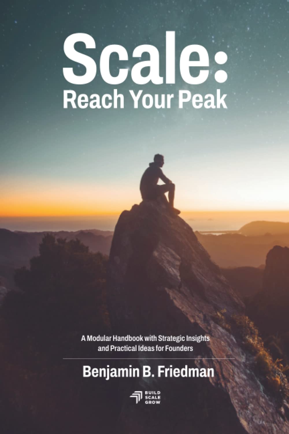 Scale: Reach Your Peak: A Modular Handbook with Strategic Insights and Practical Ideas for Founders Business, Finance & Career