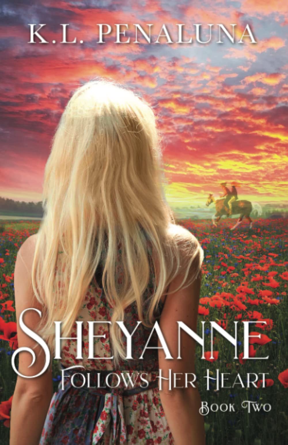 Sheyanne Follows Her Heart book