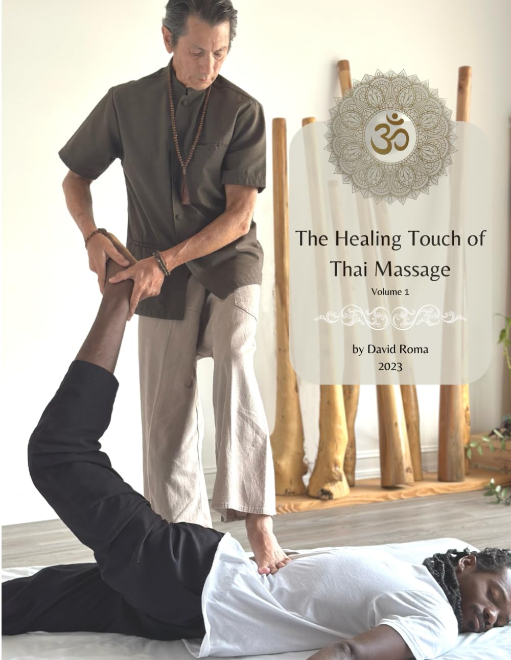 The Healing Touch of Thai Massage: Volume 1 Study Guides