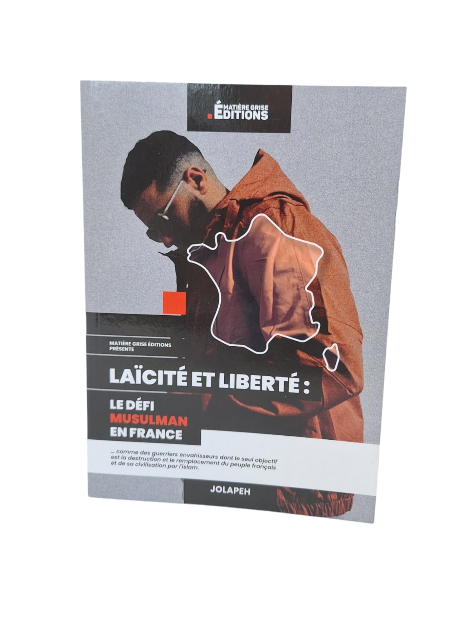 Laïcité et liberté : le défi musulman en France book
