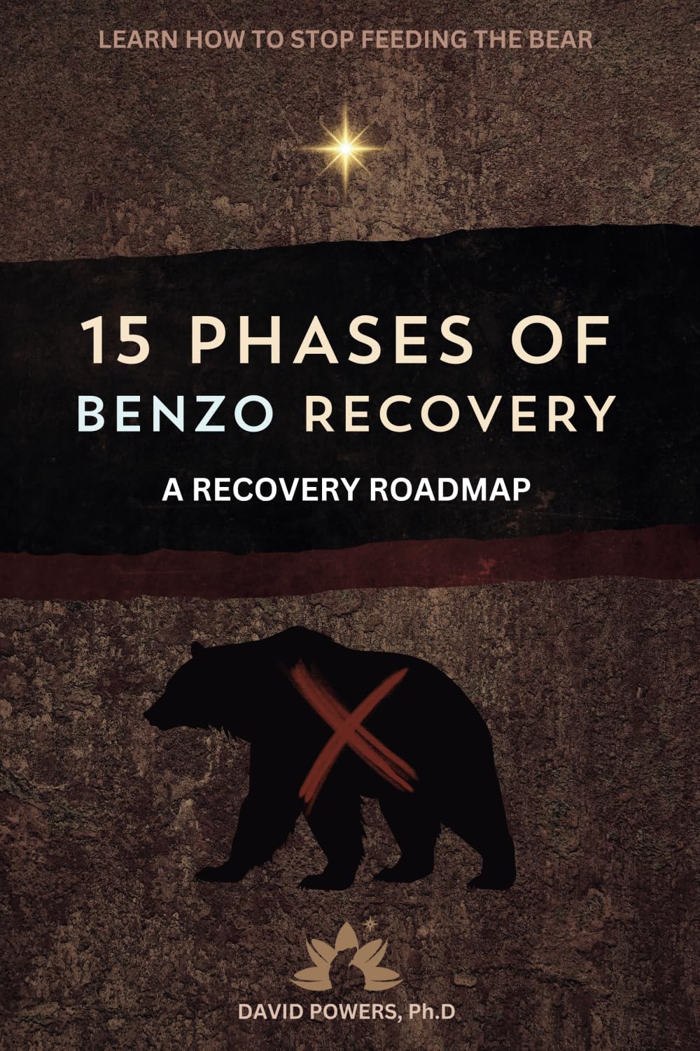 15 Phases of Benzo Recovery: A Recovery Roadmap Psychology