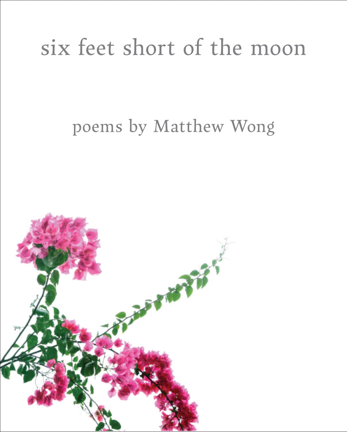 Six Feet Short of the Moon: Poems by Matthew Wong Poetry
